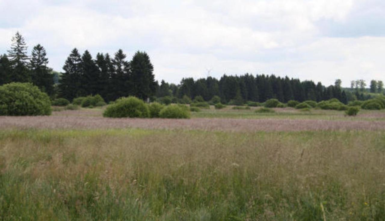 Fitness Entspannung Sauna Im Westerwald *